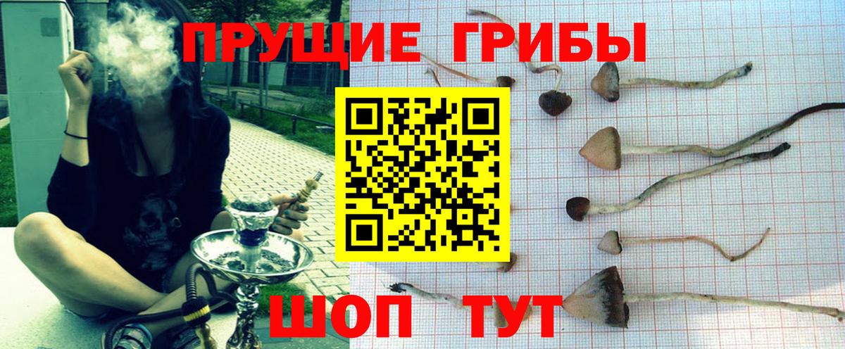 Серпухов  Псилоцибиновые грибы GOLDEN TEACHER  Галлюциногенные грибы Psilocybe  Вход с VPN 